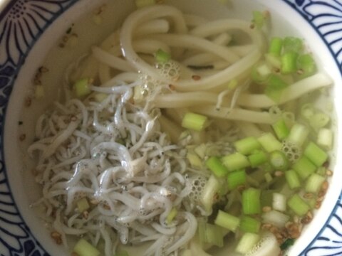 冷凍うどんとお茶漬けの素で！しらすうどん